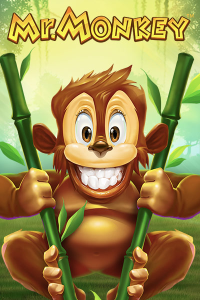 Mr. Monkey