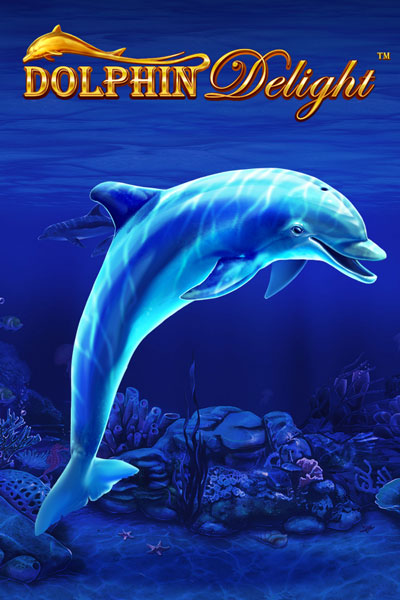 Dolphin Delight